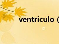 ventriculo（Ventriloquio简介）