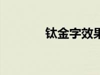 钛金字效果图（钛金字简介）
