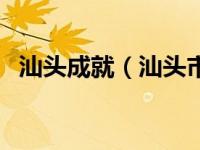 汕头成就（汕头市成功网络有限公司简介）