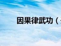 因果律武功（开局因果律武器简介）