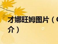 才娜旺姆图片（OKOK-才娜旺姆演唱歌曲简介）