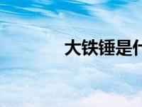 大铁锤是什么（大铁锤简介）