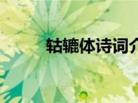 轱辘体诗词介绍（辘轳体诗简介）