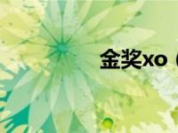 金奖xo（金奖大师简介）
