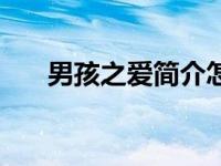 男孩之爱简介怎么写（男孩之爱简介）