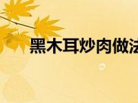 黑木耳炒肉做法（黑木耳炒肉丝简介）
