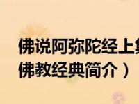 佛说阿弥陀经上集视频（佛说阿弥陀经-大乘佛教经典简介）