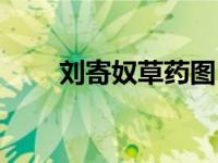 刘寄奴草药图（草部刘寄奴草简介）