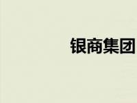 银商集团（银商资讯简介）