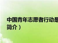 中国青年志愿者行动是哪一年实施?（中国青年志愿者行动简介）