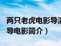 两只老虎电影导演（两只老虎-2019年李非执导电影简介）