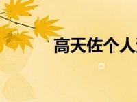 高天佐个人资料（高天佐简介）