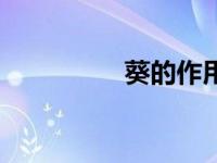 葵的作用（柊柾葵简介）