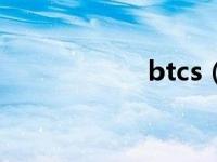 btcs（BT-SV简介）
