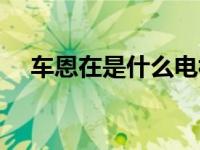 车恩在是什么电视剧（帅男车恩俊简介）