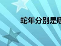 蛇年分别是哪些年份（蛇年简介）