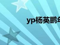 yp杨英鹏年龄（杨英鹏简介）