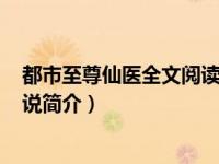 都市至尊仙医全文阅读 在线阅读（都市至尊仙医-起点网小说简介）
