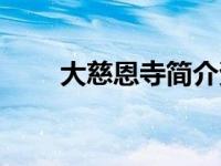 大慈恩寺简介资料（大慈恩寺简介）