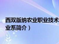 西双版纳农业职业技术学院官网（西双版纳职业技术学院农业系简介）