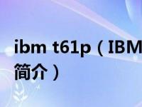ibm t61p（IBM ThinkPad T60p 200768C简介）
