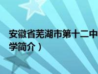 安徽省芜湖市第十二中学简介图片（安徽省芜湖市第十二中学简介）