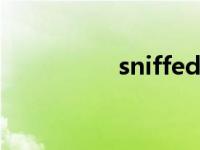 sniffed（sniffer简介）