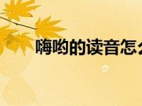 嗨哟的读音怎么写（嗨哟-字词简介）