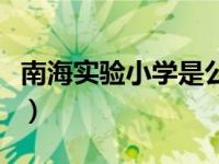 南海实验小学是公办的吗（南海实验小学简介）