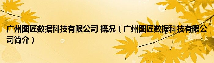 广州图匠数据科技有限公司 概况（广州图匠数据科技有限公司简介）