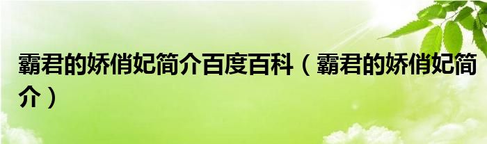 霸君的娇俏妃简介百度百科（霸君的娇俏妃简介）