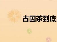古因茶到底好不好（古因简介）