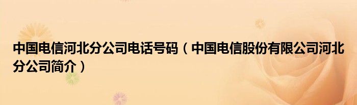 中国电信河北分公司电话号码（中国电信股份有限公司河北分公司简介）