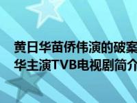 黄日华苗侨伟演的破案电视剧（刑警-2010年苗侨伟、黄日华主演TVB电视剧简介）