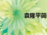 袁隆平简介（横内晶简介）
