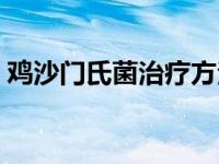 鸡沙门氏菌治疗方法（鸡白痢沙门氏菌简介）