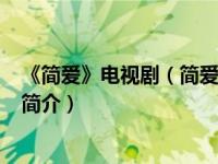 《简爱》电视剧（简爱-英国2006年苏珊娜怀特执导迷你剧简介）