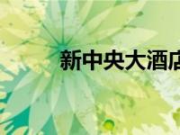 新中央大酒店（新中央酒店简介）
