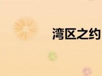 湾区之约（湾区之王简介）