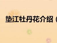 垫江牡丹花介绍（重庆垫江牡丹花节简介）