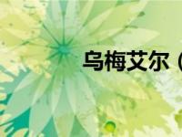 乌梅艾尔（乌奈埃梅里简介）