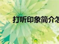 打听印象简介怎么说（打听印象简介）