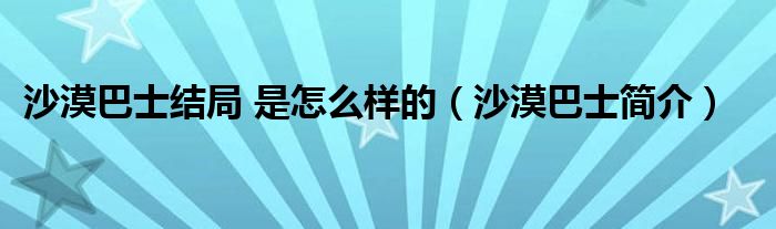 沙漠巴士结局 是怎么样的（沙漠巴士简介）