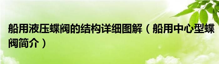 船用液压蝶阀的结构详细图解（船用中心型蝶阀简介）