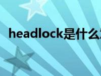 headlock是什么意思（HEADLOCK简介）