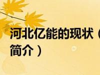 河北亿能的现状（河北亿能电力建设有限公司简介）
