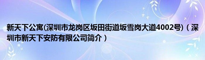 新天下公寓(深圳市龙岗区坂田街道坂雪岗大道4002号)（深圳市新天下安防有限公司简介）