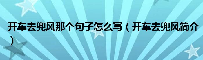 开车去兜风那个句子怎么写（开车去兜风简介）