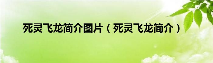 死灵飞龙简介图片（死灵飞龙简介）