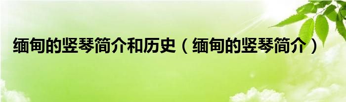 缅甸的竖琴简介和历史（缅甸的竖琴简介）